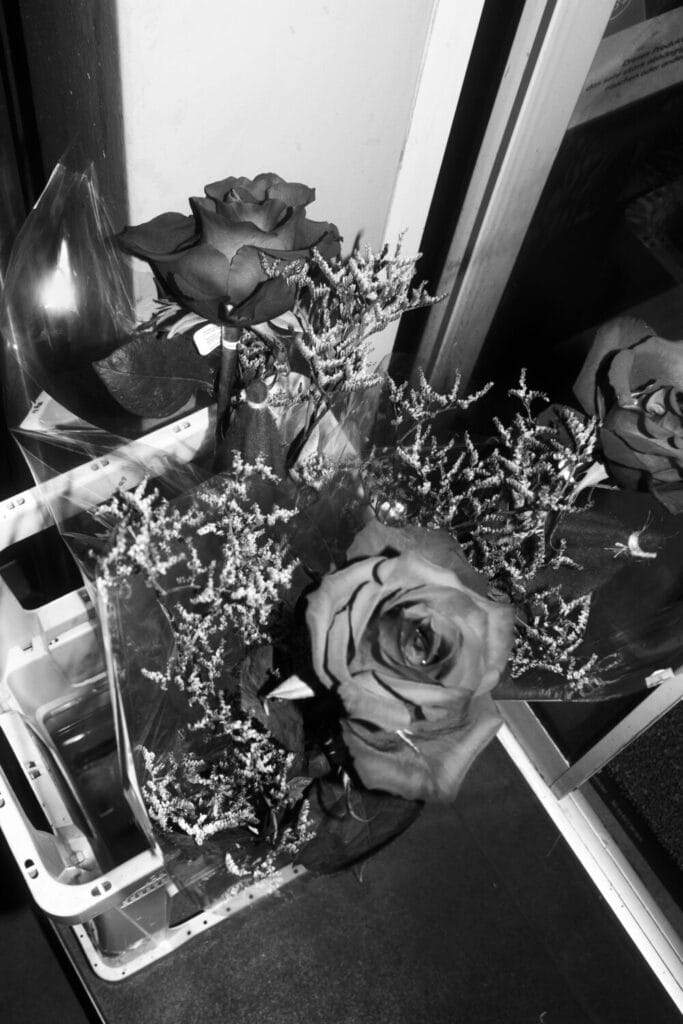 1,000 swords fall. A fakie kickflip. An almost-story. Shame, coffee, knives meeting in my skull.