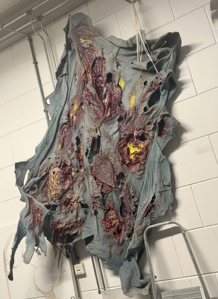 Ruth Spetter. The image depicts a piece of fabric or clothing that appears to be in a state of severe deterioration and decay. The material has a rotten, damaged texture and is dominated by grayish-purple and light blue tones. Its surface is characterized by numerous tears, depressions, and wrinkles, with scattered small red spots visible in certain areas. The background shows an indoor environment featuring metal chairs, highlighting the old and ruined condition of the fabric. There are no documents or tables present in the scene.
