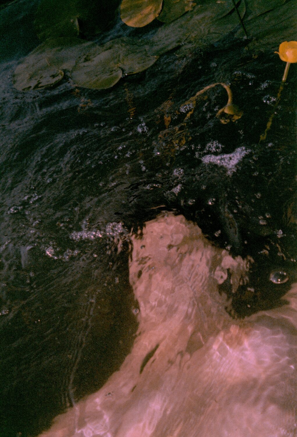 Patrick Nowa Photography